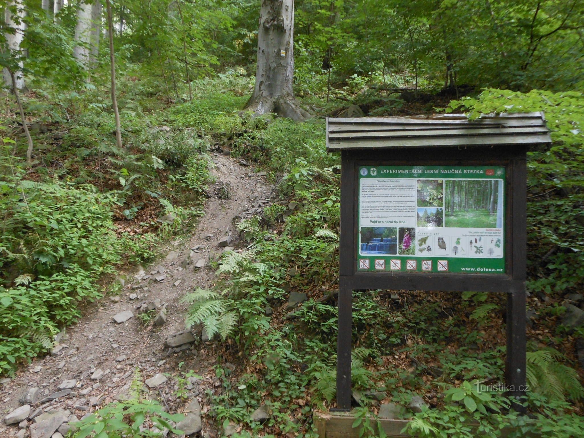 Biegen Sie in Richtung Maleník ab