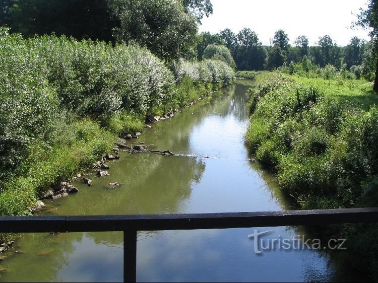 Oder gångbro, Oder nedströms