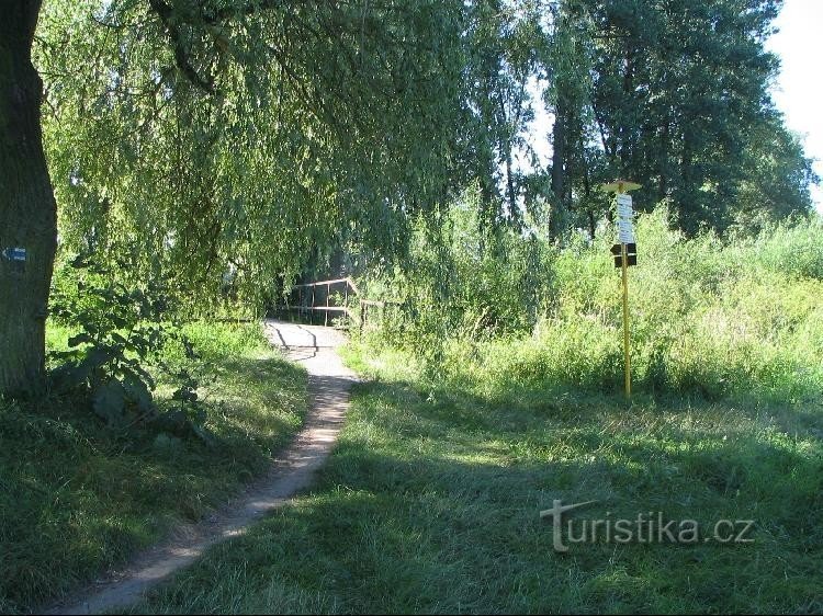 Oderská lávka, směr Albrechtičky