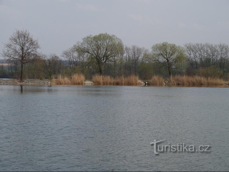 Одерський ставок