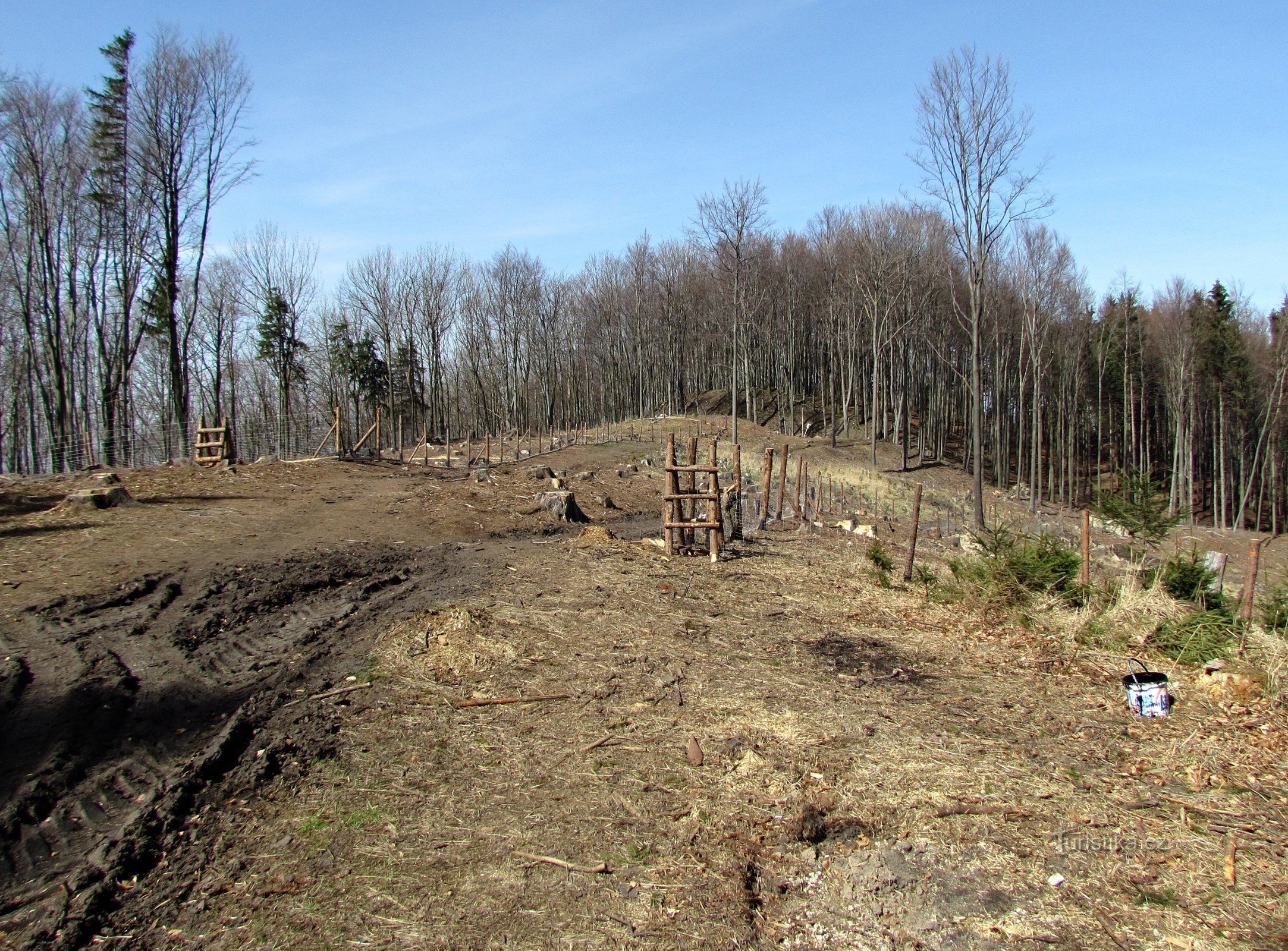 deforested ridge end