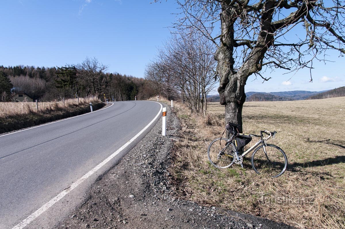 私たちは自転車を片付けました