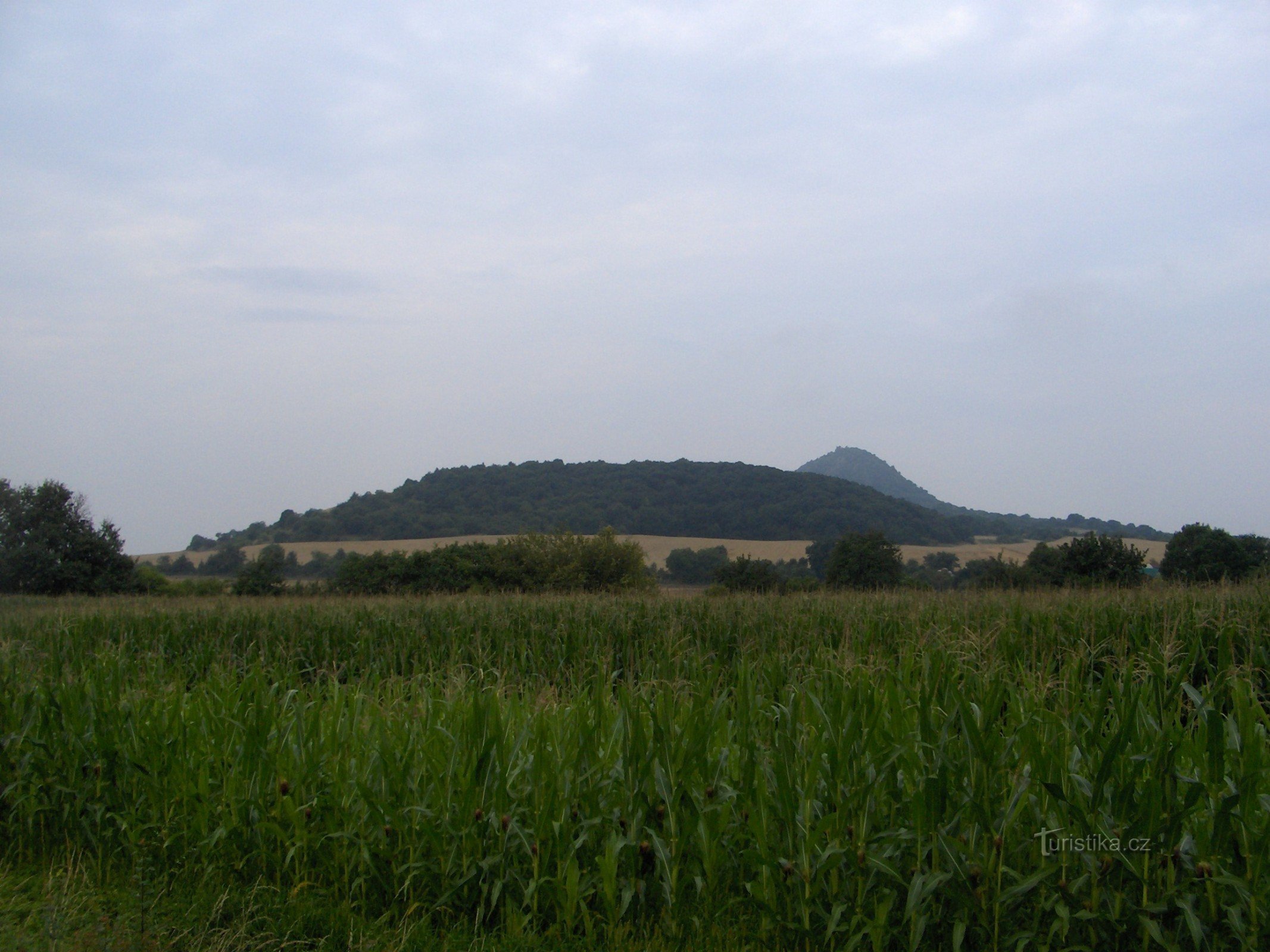 Odolic Hill