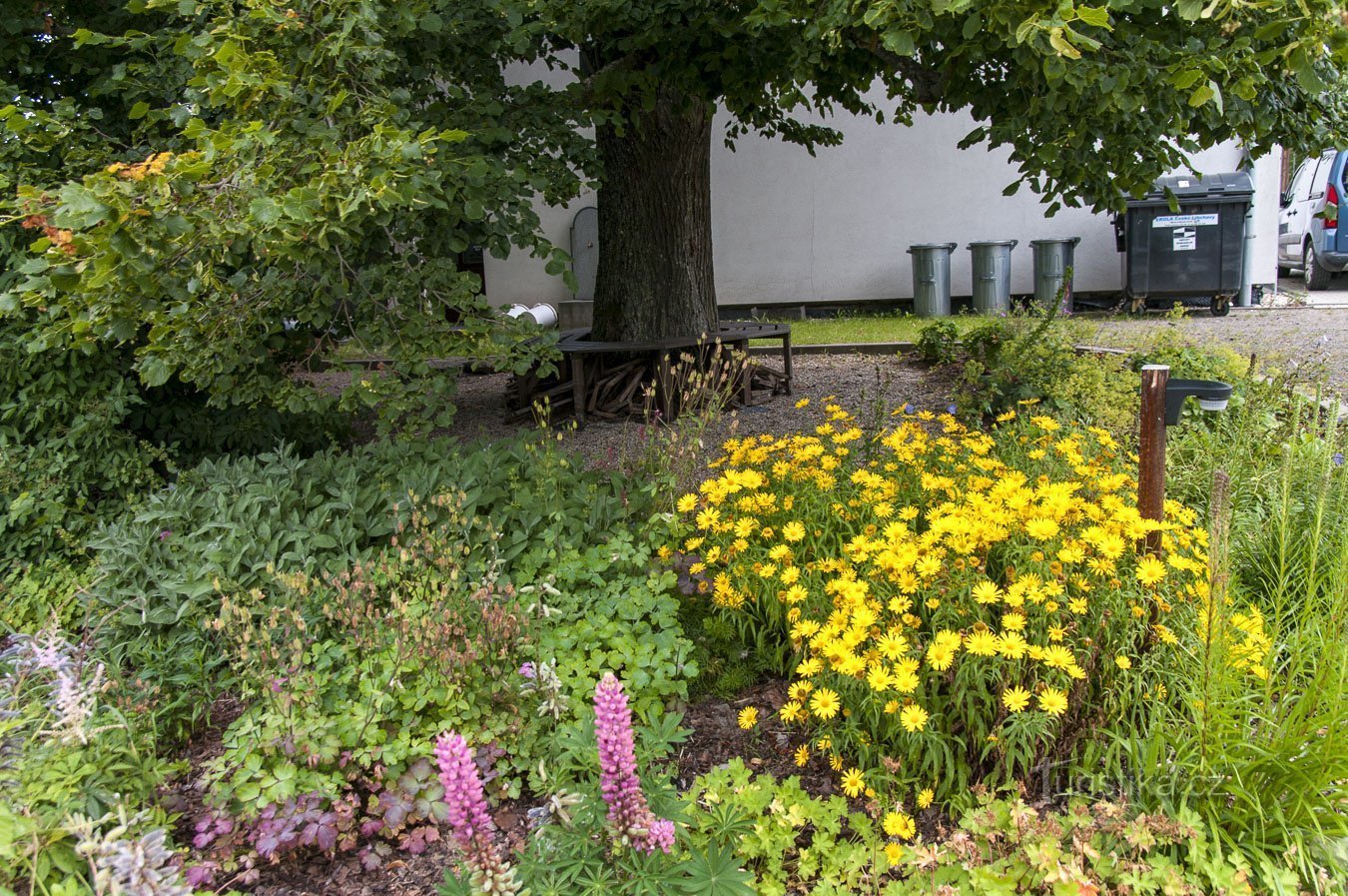 Sie können auch zwischen den Blumen entspannen