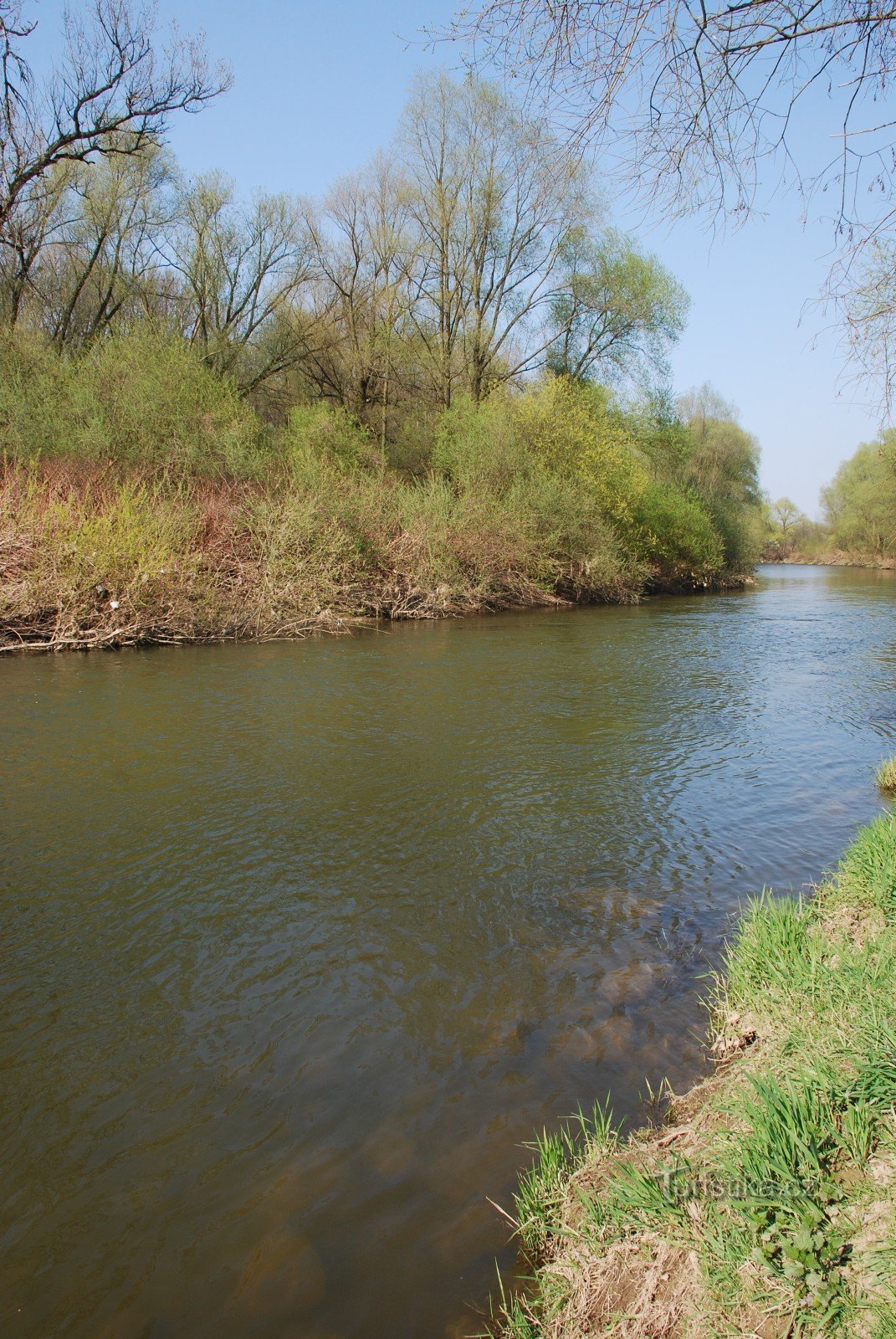 Odra below Vyškovice