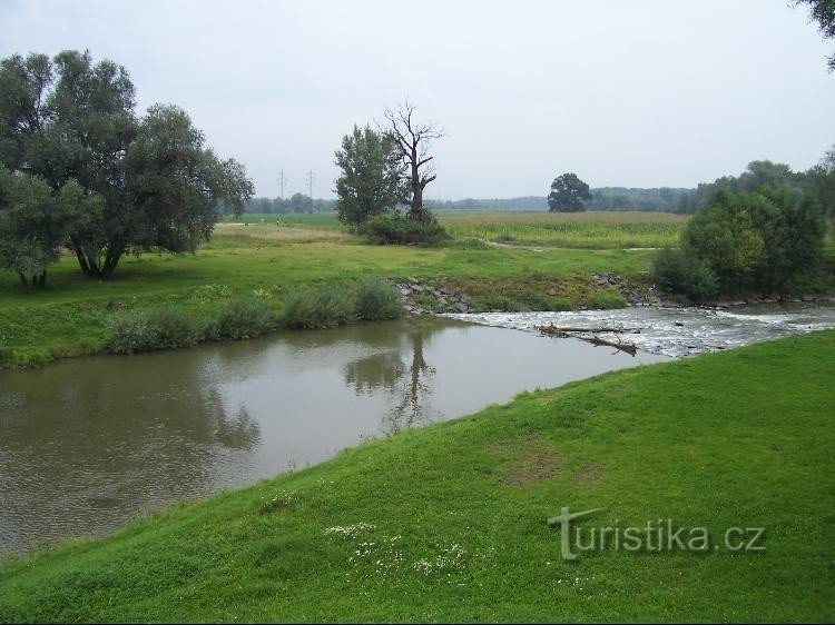 Odra: View from the signpost to the Odra