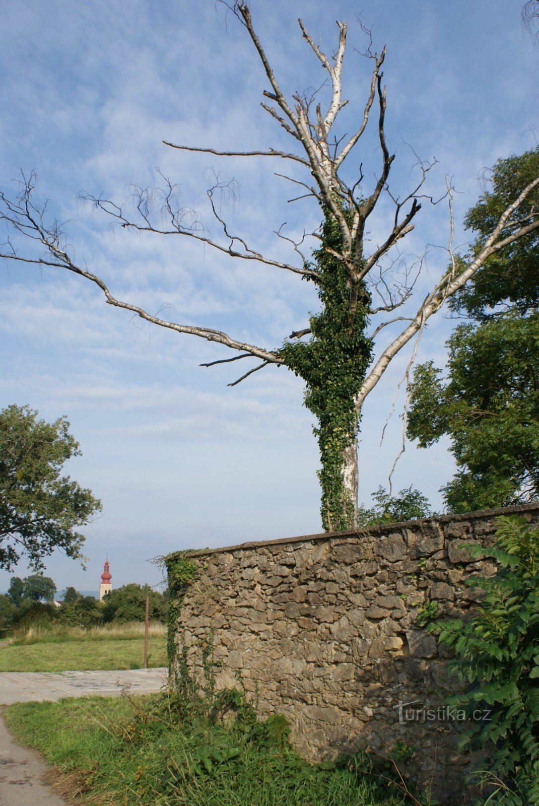 enclosure wall