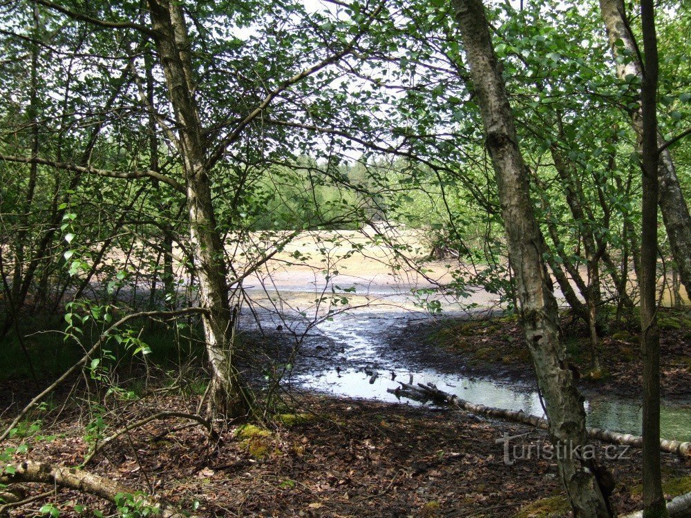 Surroundings of Císařské spring