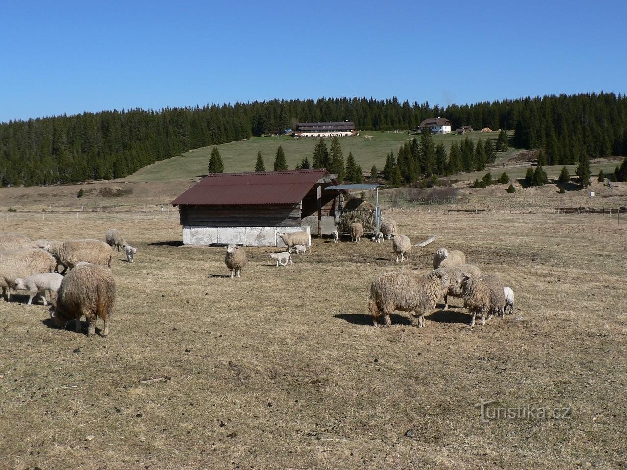 Alrededores de Horská Kvilda