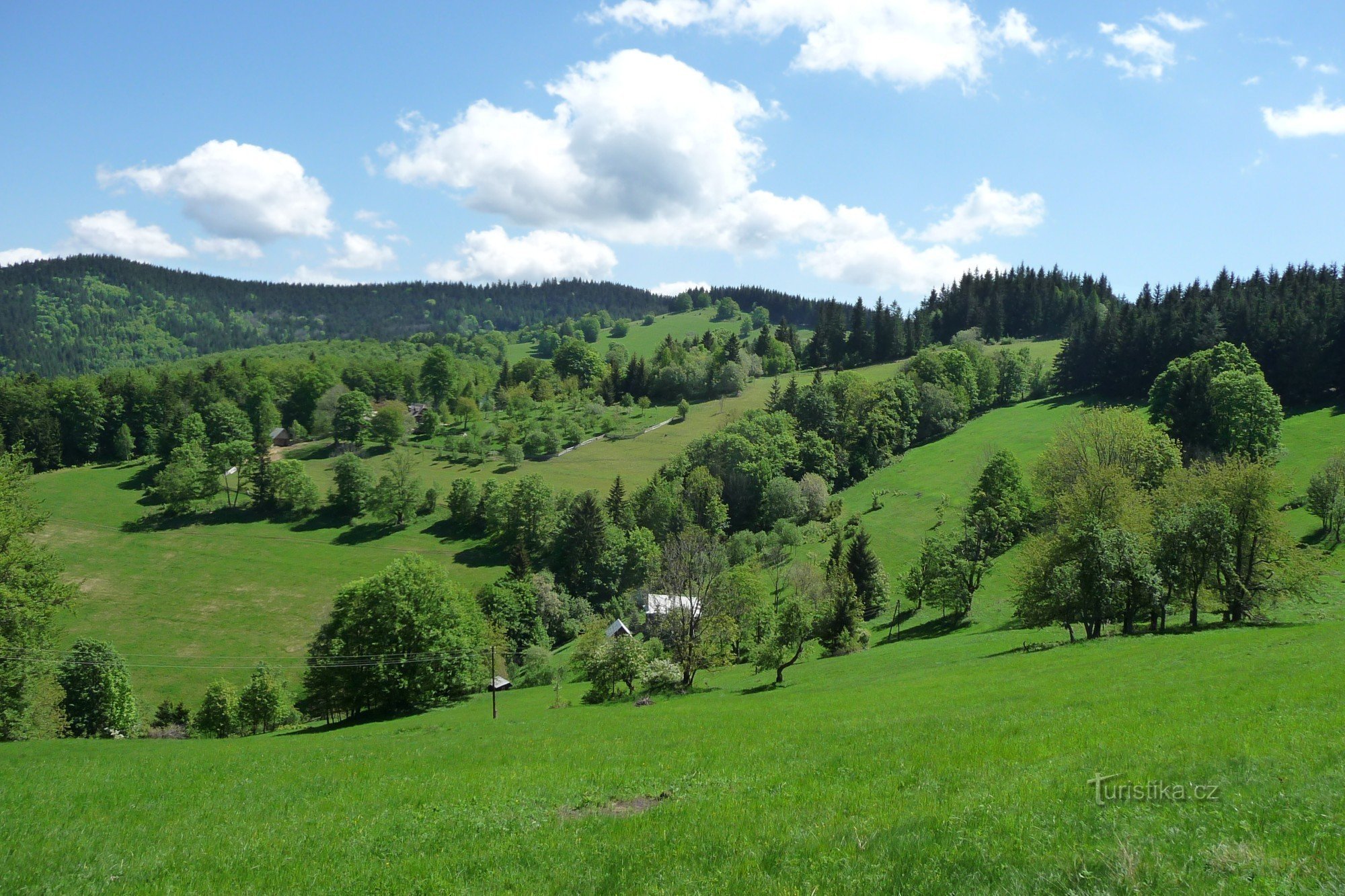 Javorníčka neighborhood