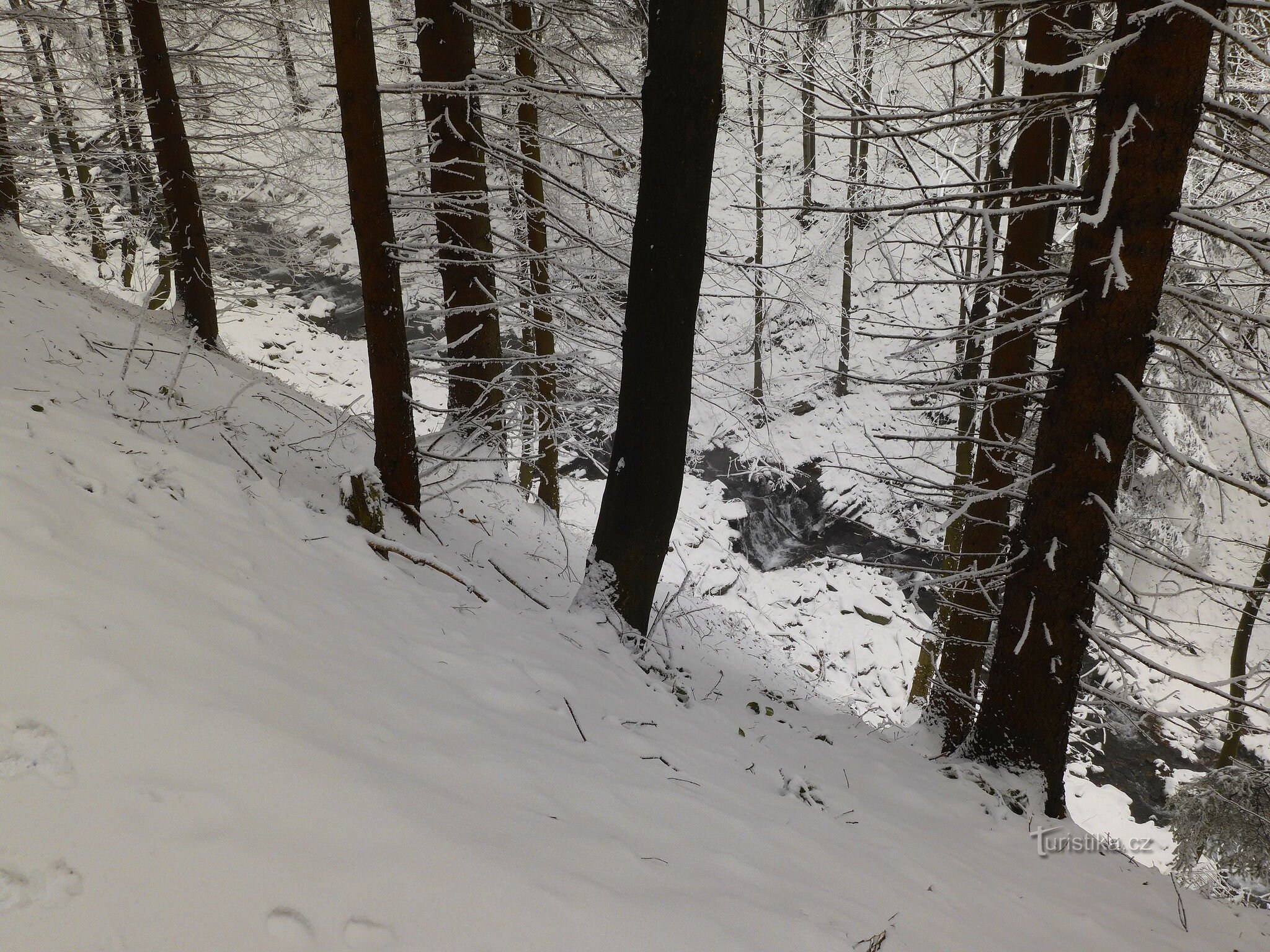 Die Umgebung der Kněhyňská-Höhle im Winter und die Suche nach Steinformationen am darunter liegenden Hang.