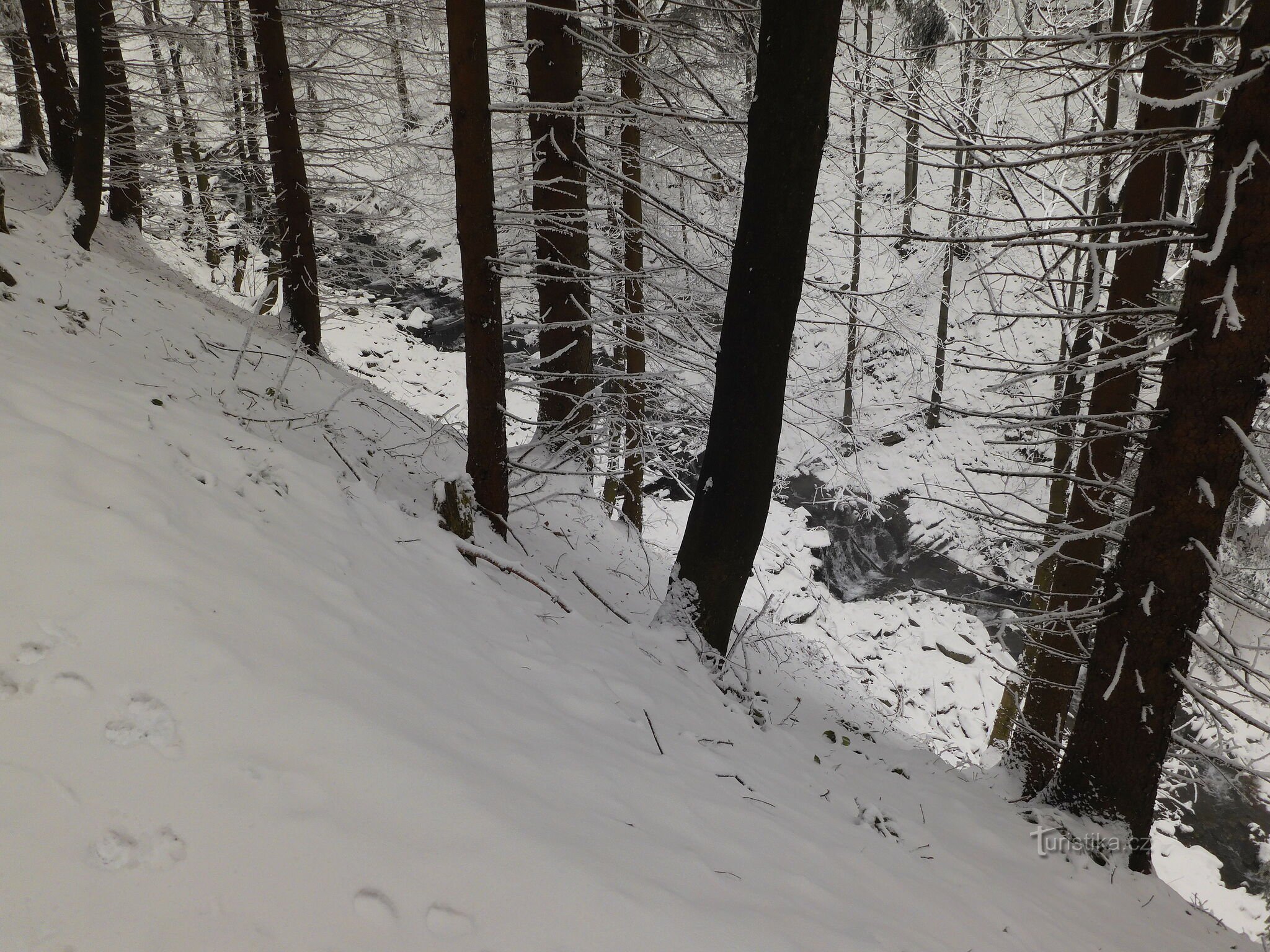 The surroundings of the Kněhyňská cave in winter and the search for stone formations on the slope below.