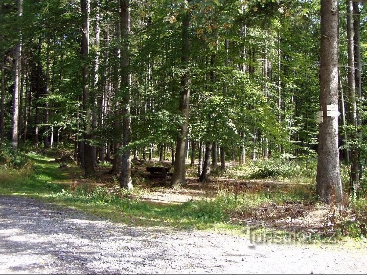 Arredores: Ao redor da placa de sinalização