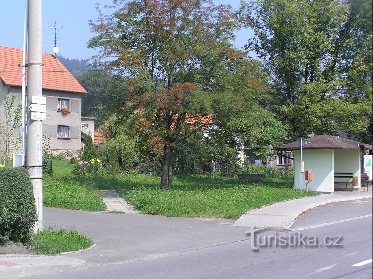 Okolí: Okolí rozcestníku s autobusovou zastávkou