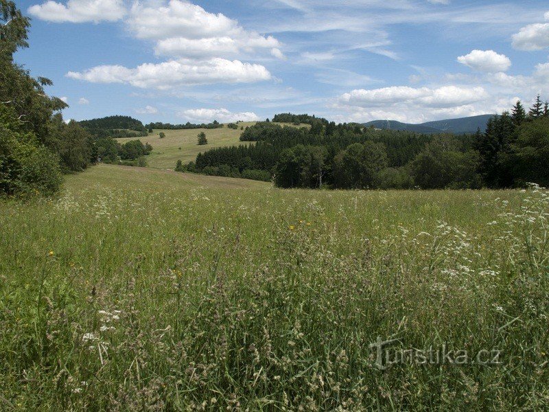 Mountain meadows surround the settlement