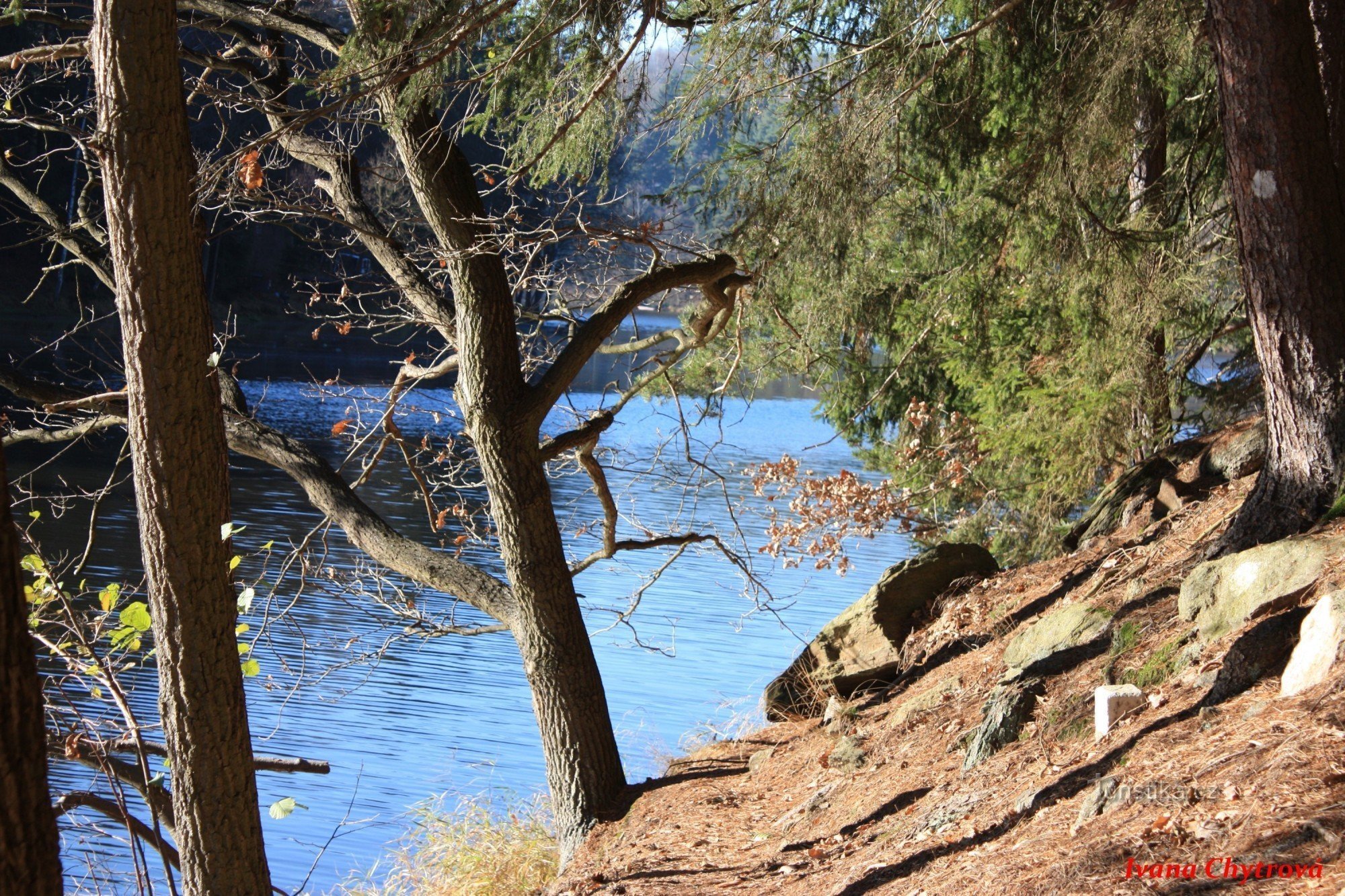 ao redor da represa