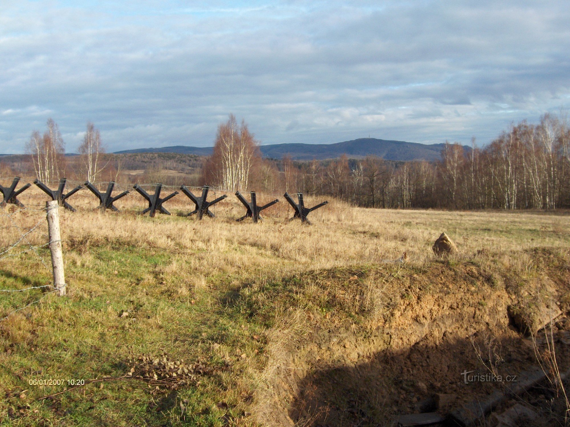 runt oljepalmen