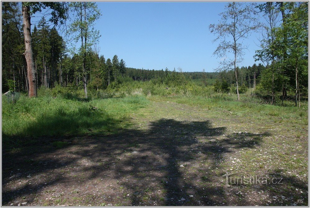 The vicinity of the Zátluky crossroads