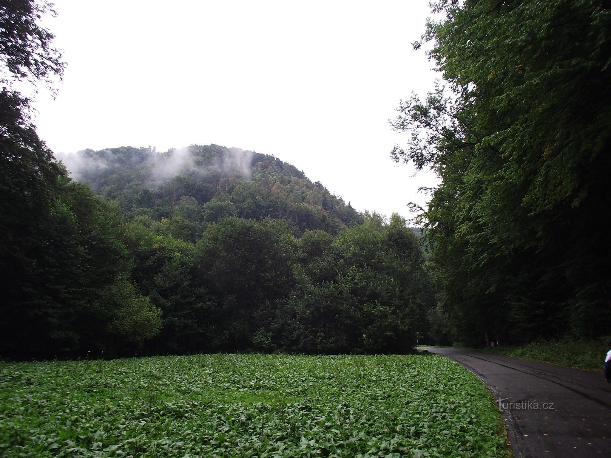 Umgebung der Felsenmühle