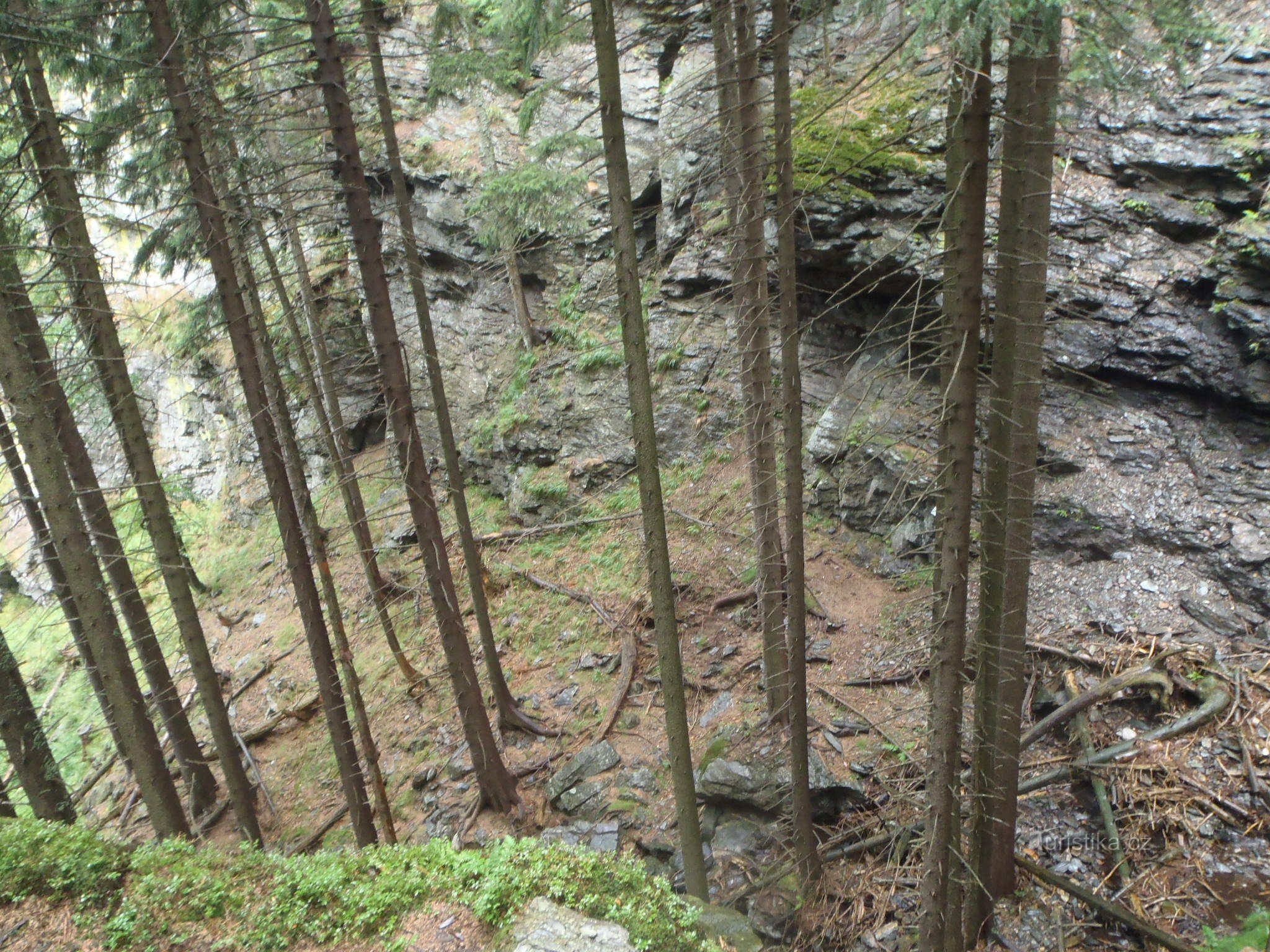 Autour de la cascade 1