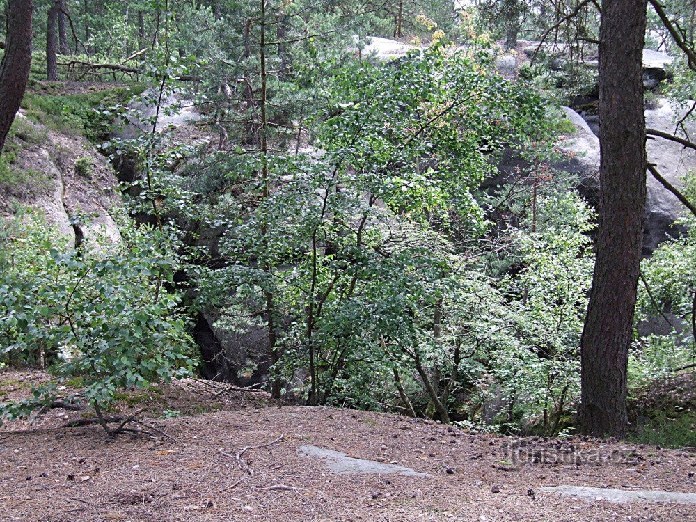 Surroundings of the Czech Brothers viewpoint