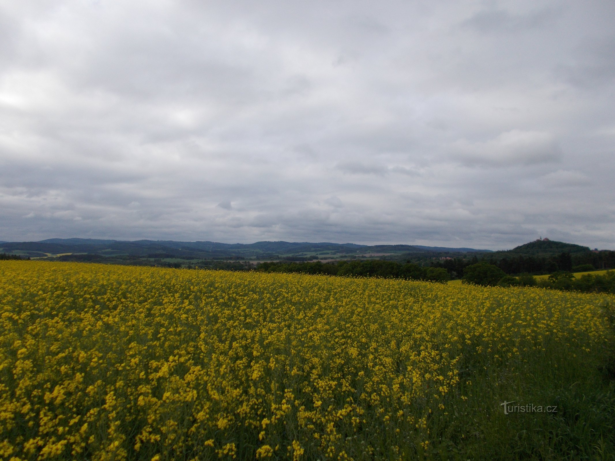 Umgebung von Vysoké Chlumec