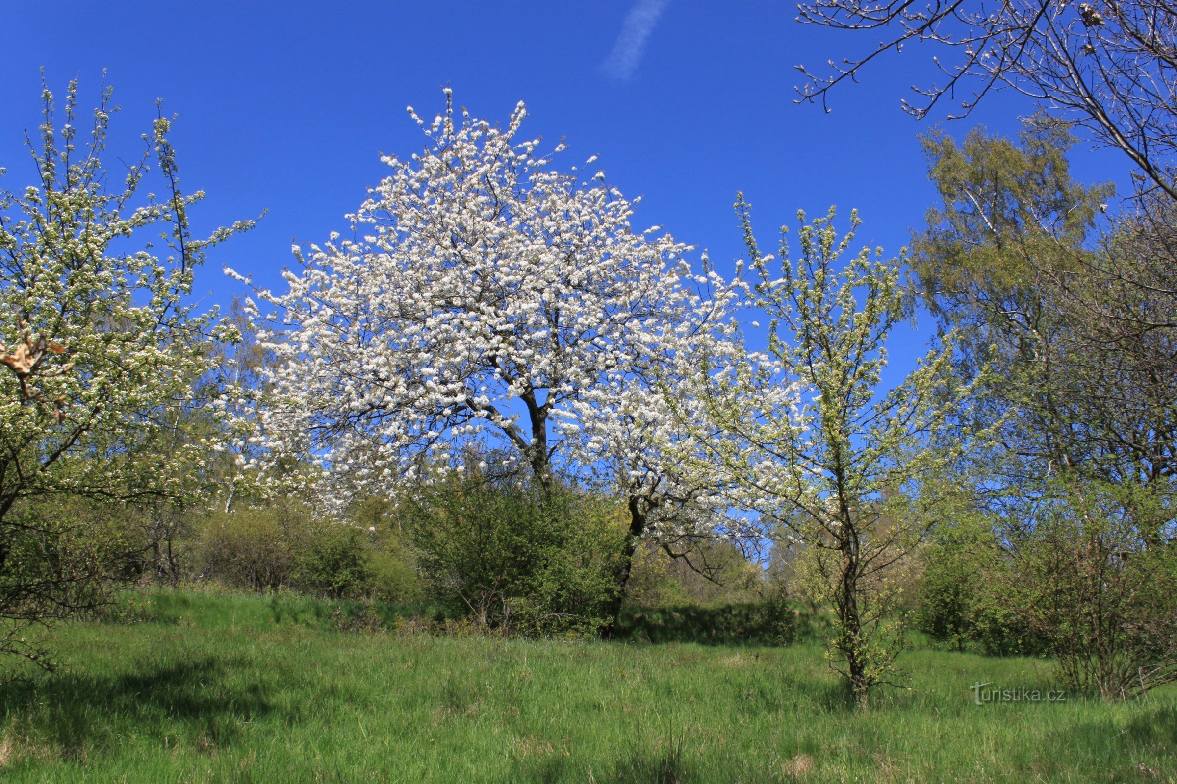 Around Zaječák