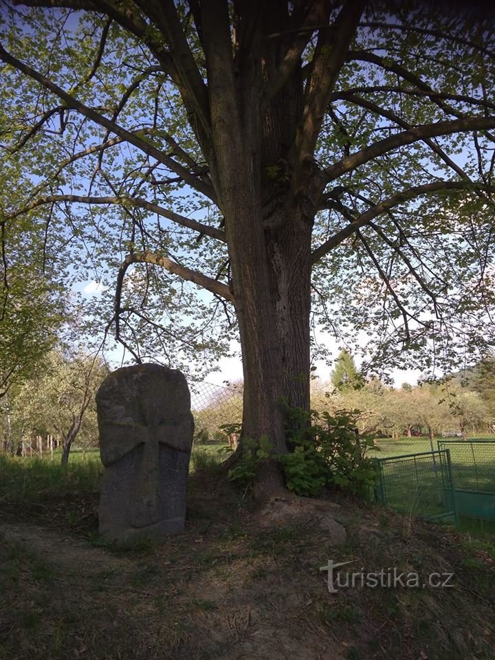 Omkring Nové Knín langs uddannelsesstien