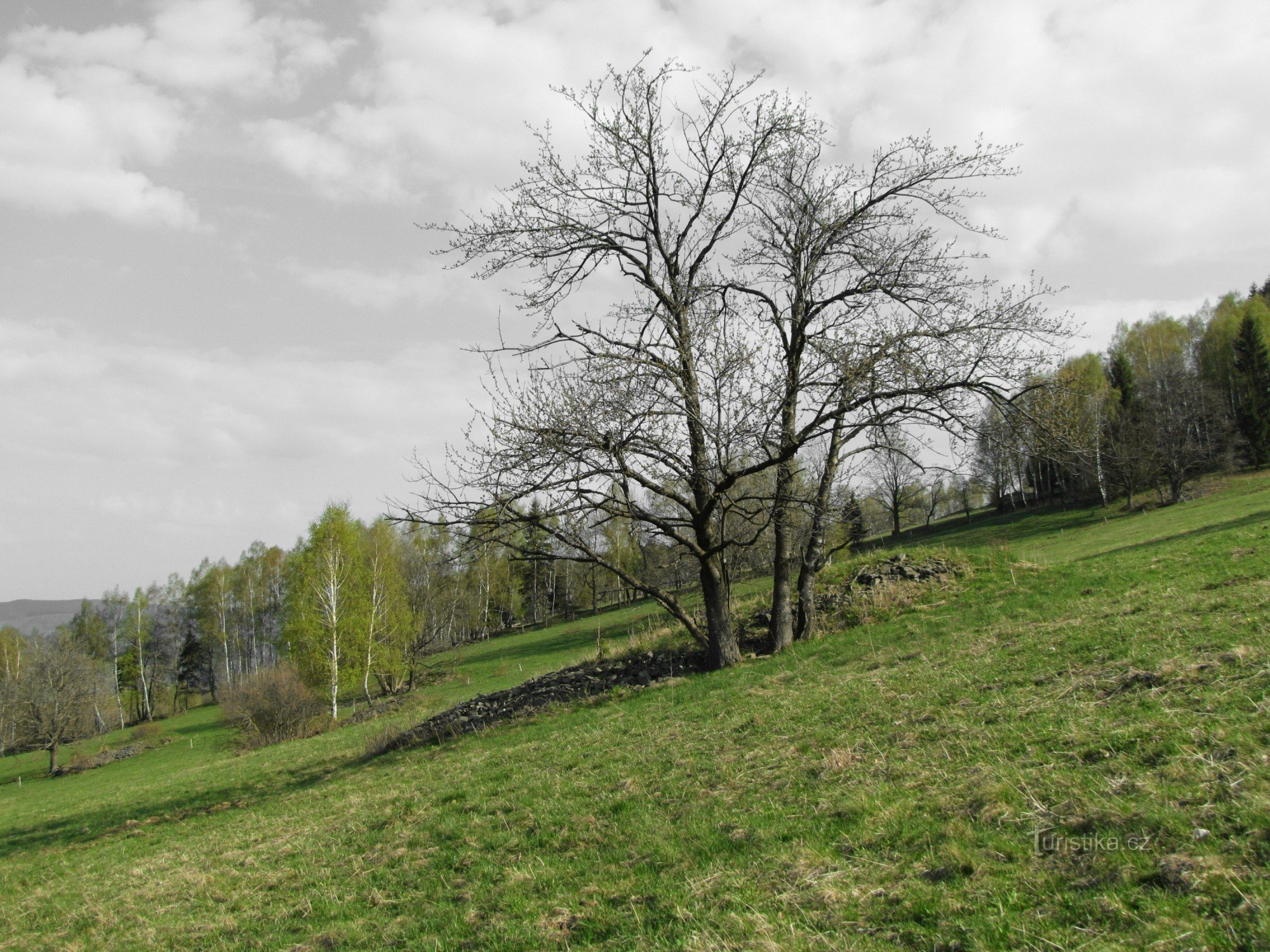 Autour de Branná - (Montagnes Jeseniky)