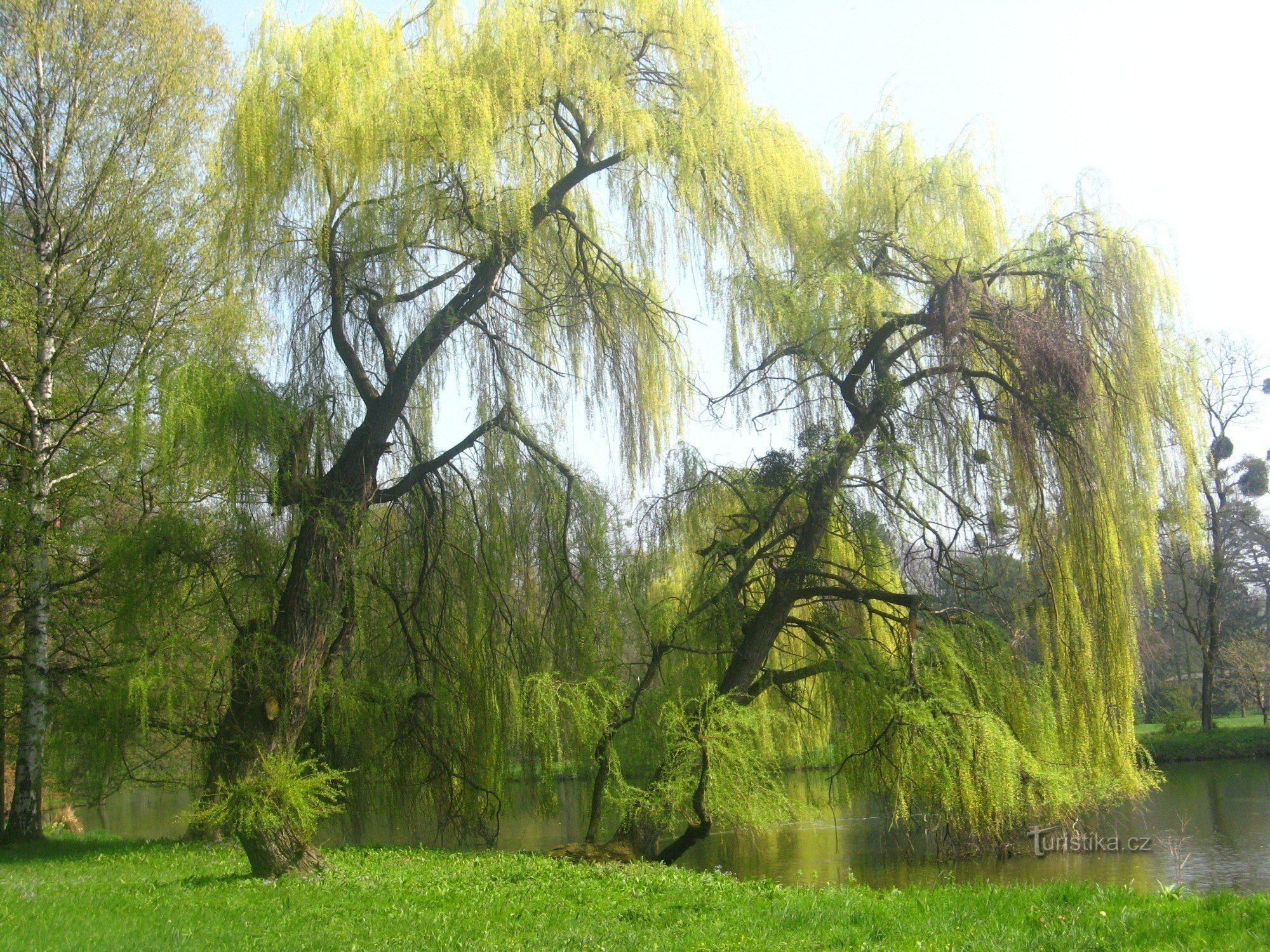 Rund um den Wildteich im Podzámecká-Garten in Kroměříž