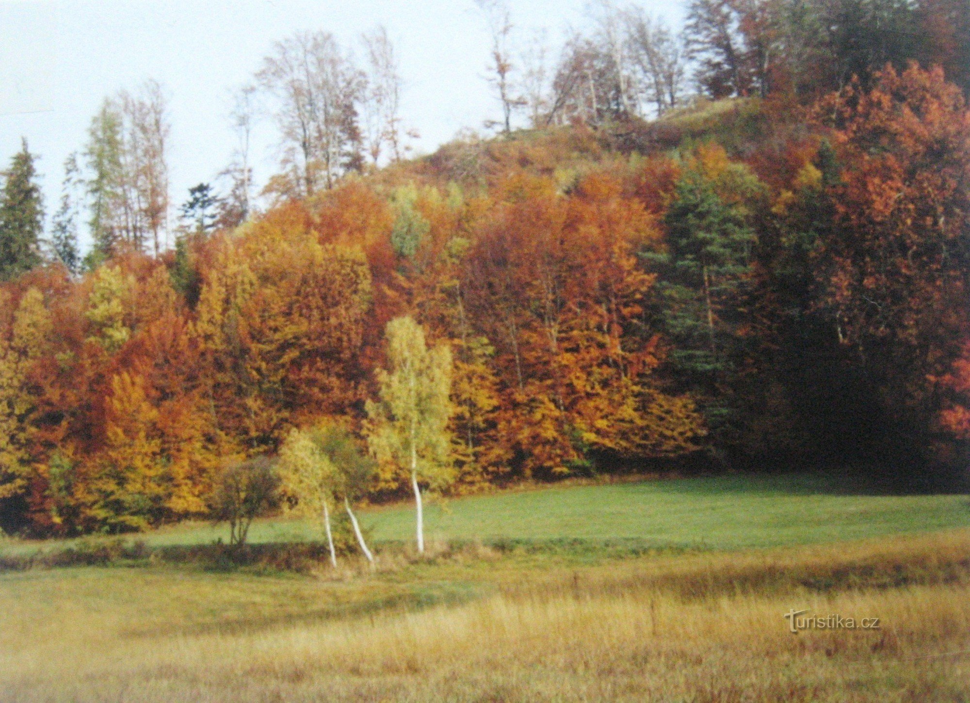 Around Držková (2004)