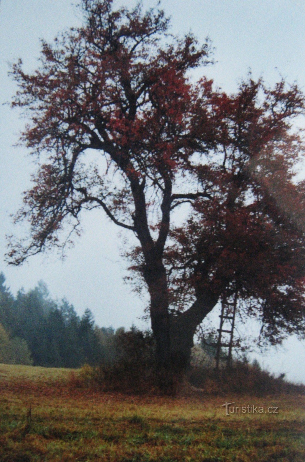 Around Držková (2004)