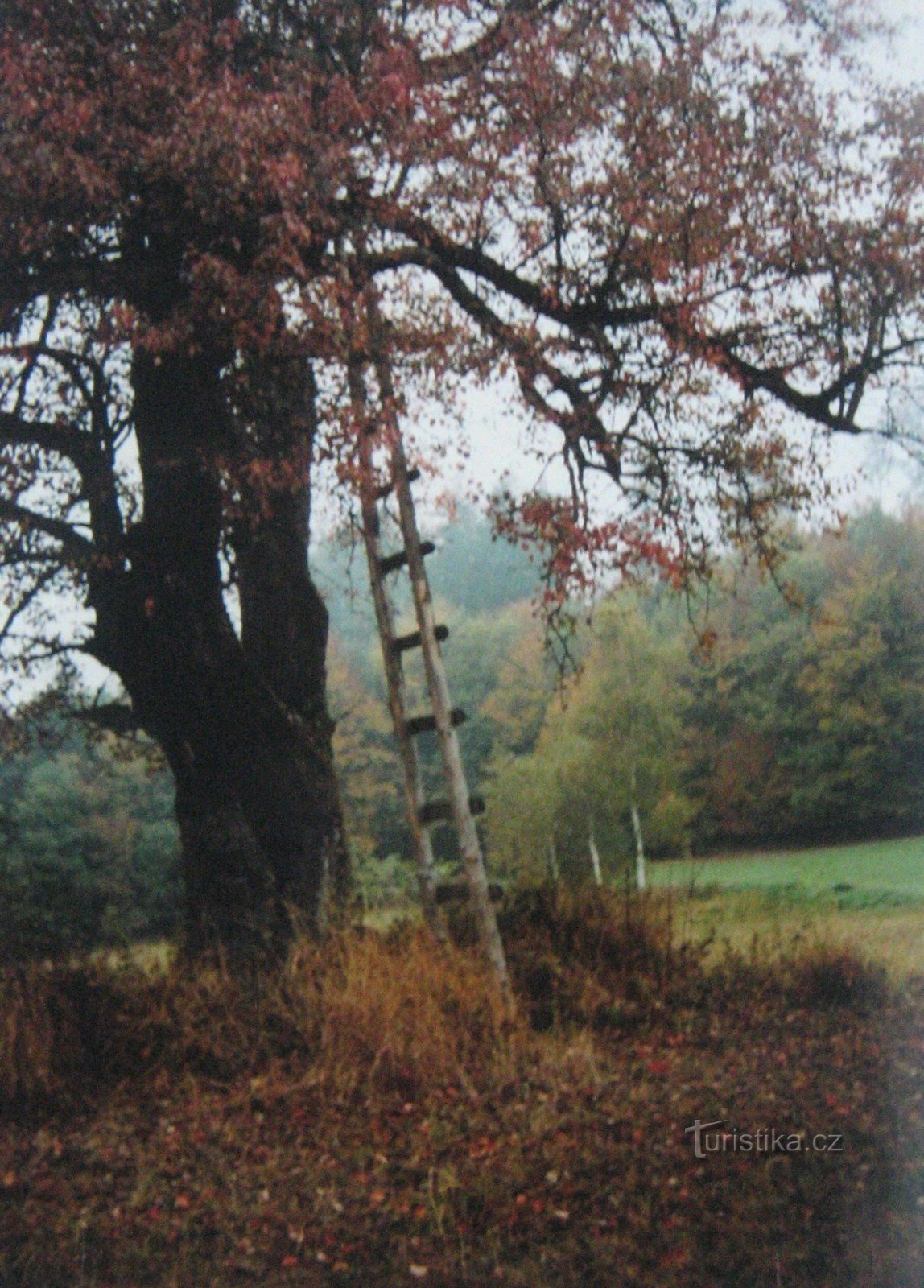 Around Držková (2004)