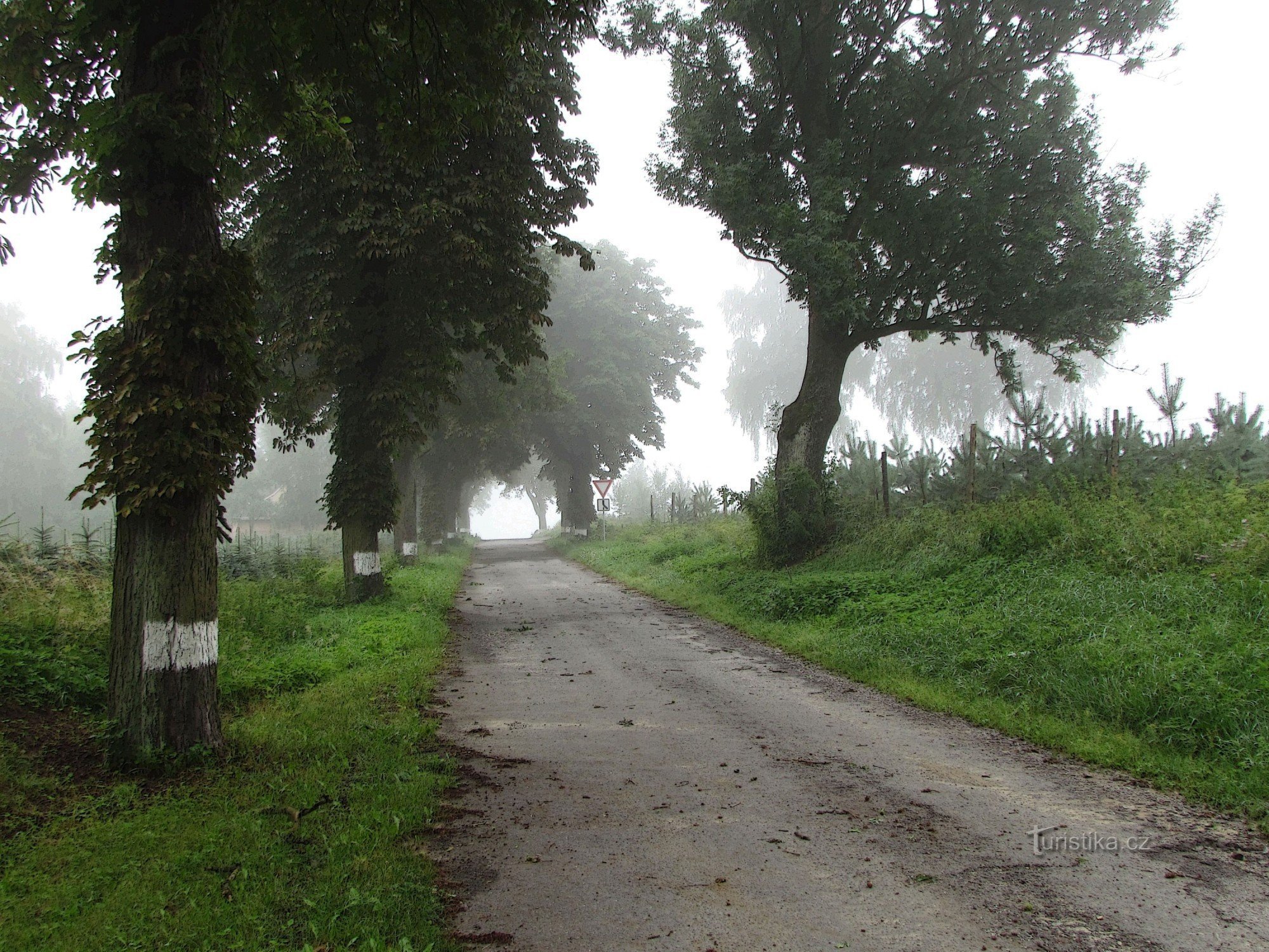 Alrededor de Hradec...