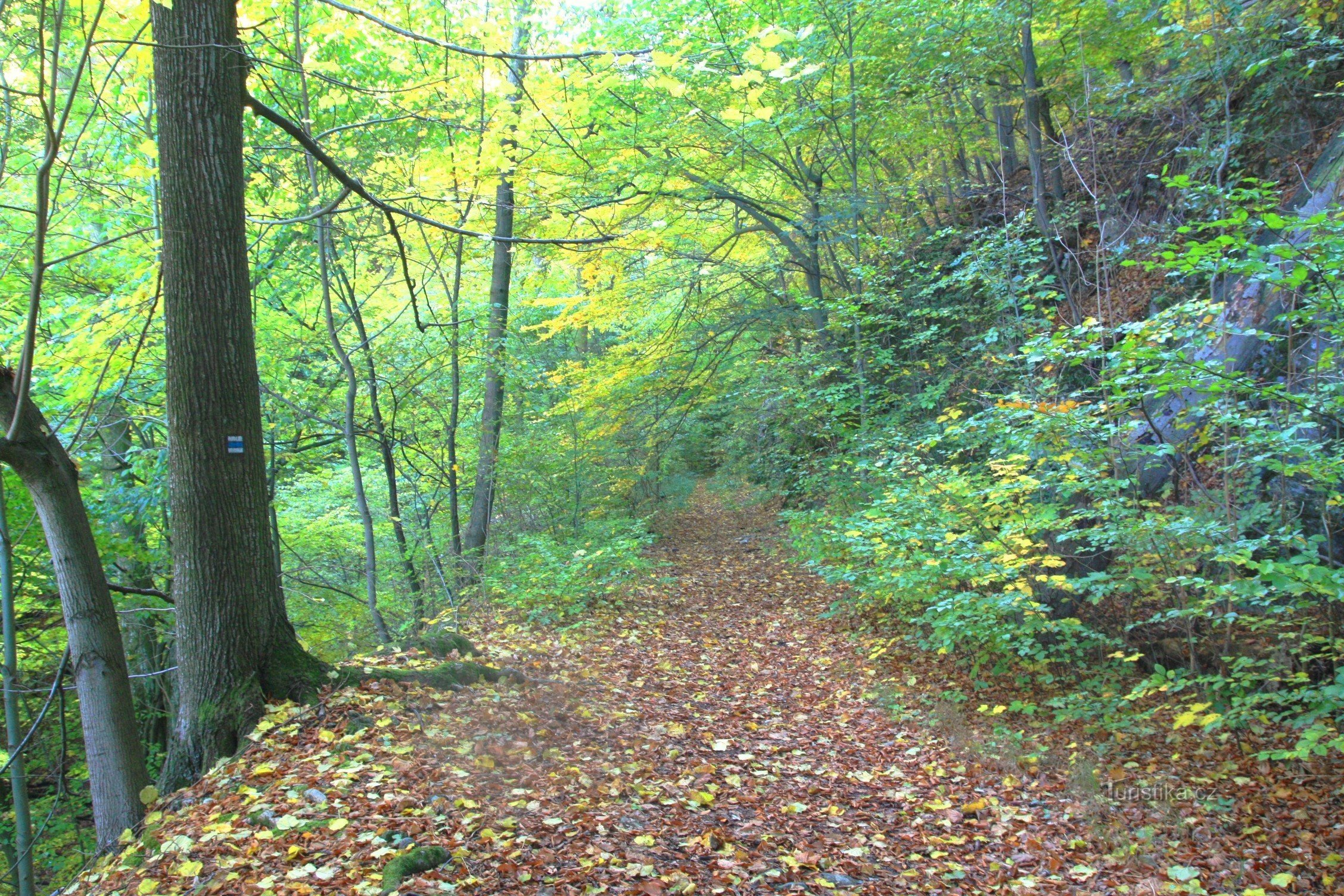 Rondom de grot loopt een blauw gemarkeerd wandelpad