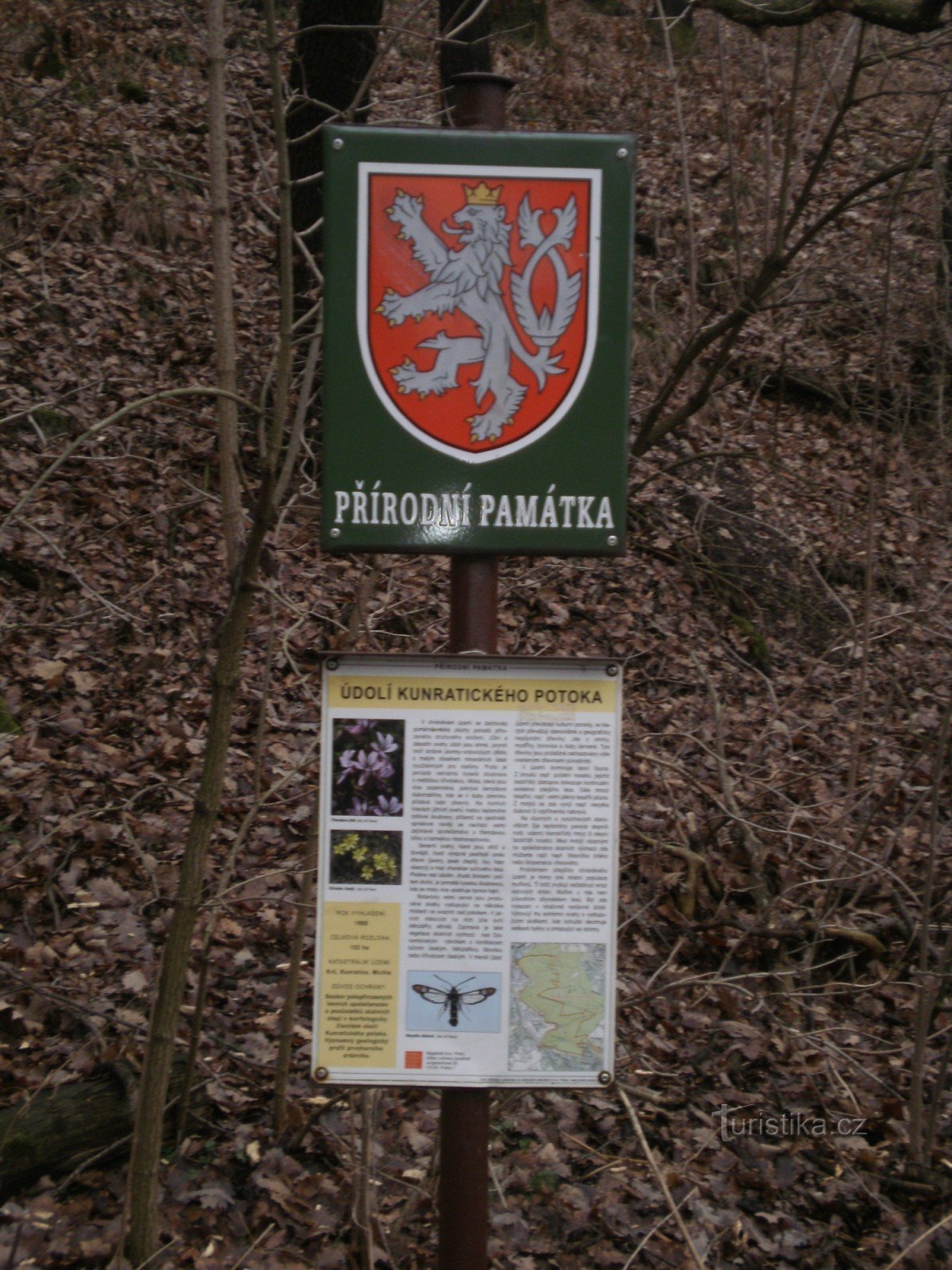 Okoli gozda Kunratic
