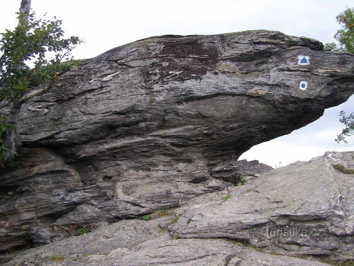 Omkring Nové Losiny