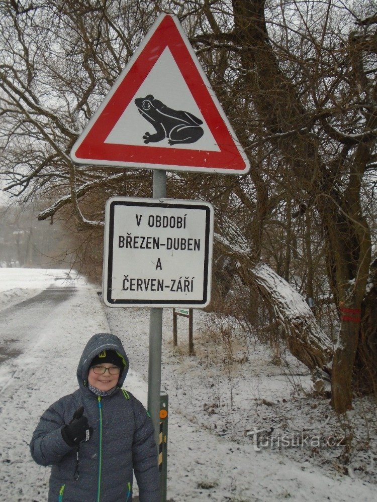 AUTOUR DE L'ÉTANG DE ŽEBÉTÍN