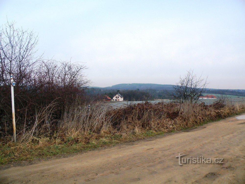 The edge of Střelice