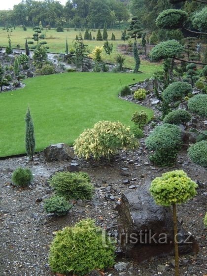 Okrasna hortikultura in mini arboretum v Staříču