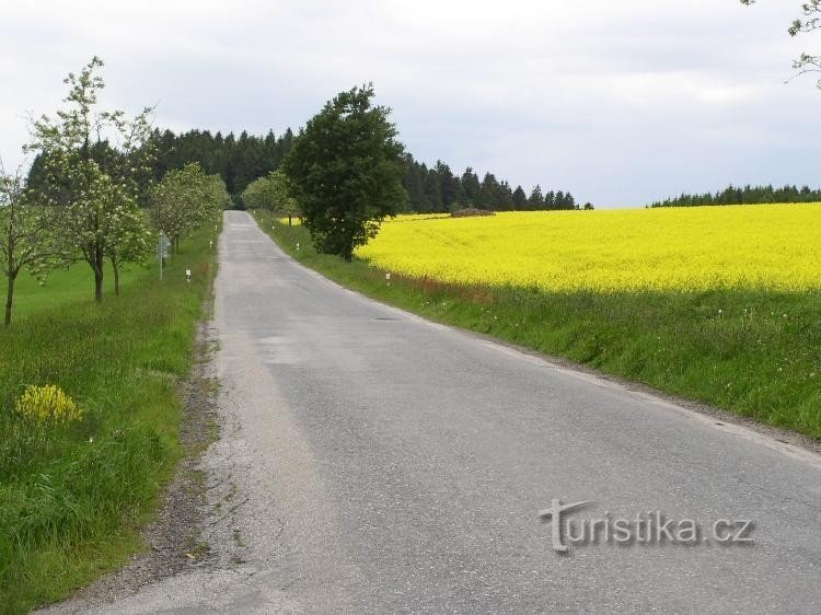 District road 348 from Polná