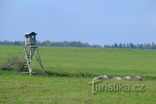 电路 - Adršpašsko-Teplice 岩石