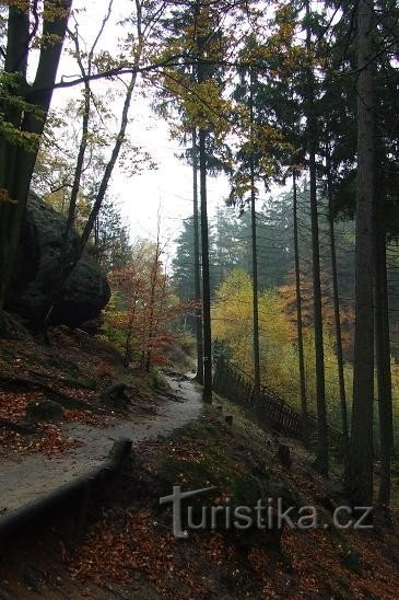 Tor przez czeską Szwajcarię