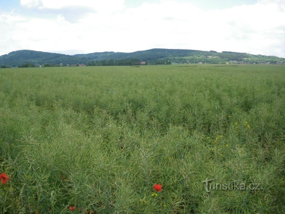 Rennstrecke Holešov - Žopy - Přílepy - Holešov