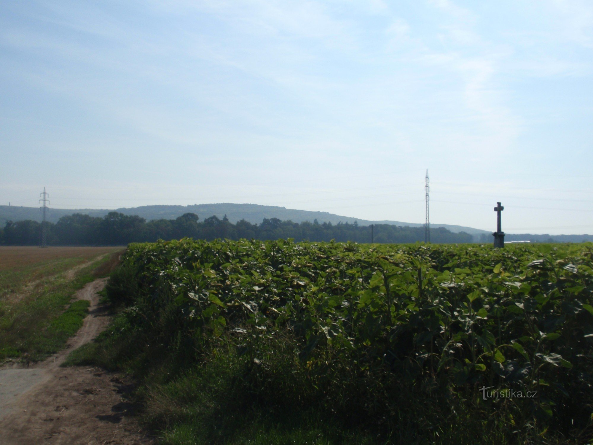 The circuit around Židlochovice does not only offer a lookout point...