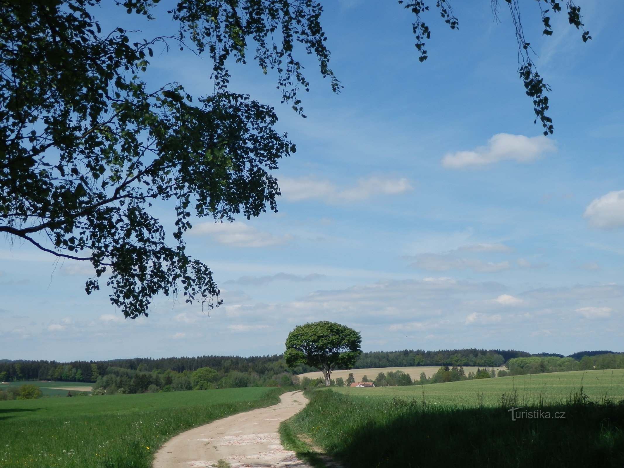 Rundweg um Přibyslav (Šlapanov, Lutrián, Věžnice)