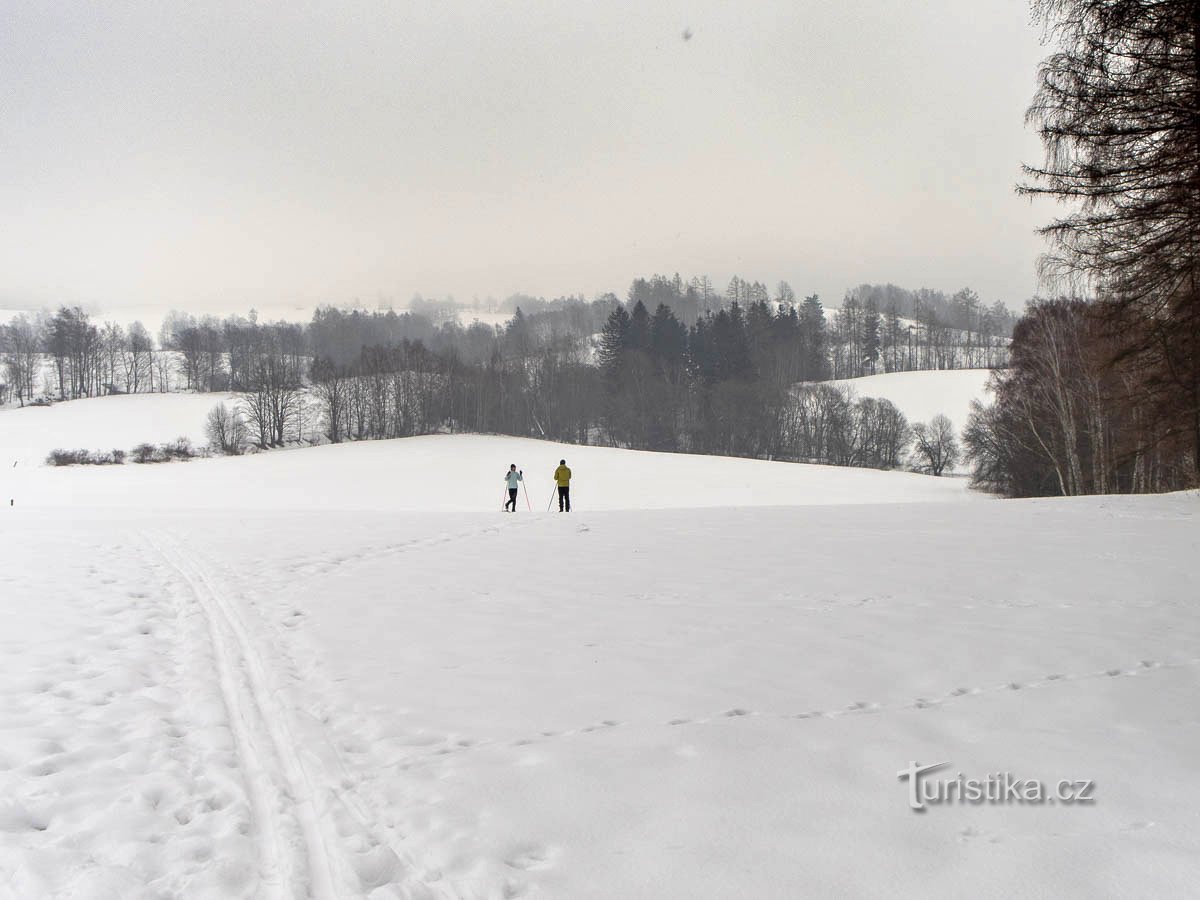 Krožnica po travniku nad starim mestnim jedrom