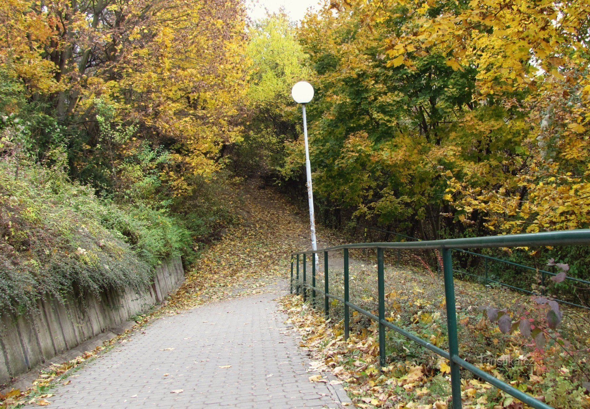 allée circulaire menant à la ville