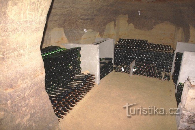 Olbramovice wine cellars