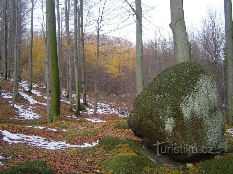 Oldřichovské gaje